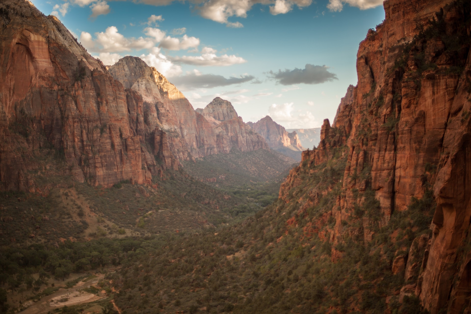 Zion National Park Image