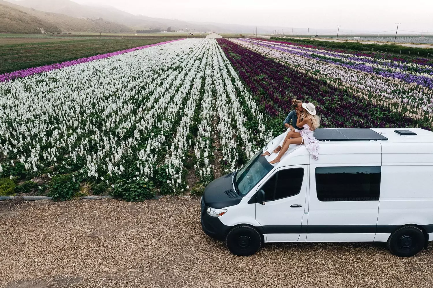 Perfect 2 Week Road Trip Itinerary for the California Coast Lompoc Flower Fields