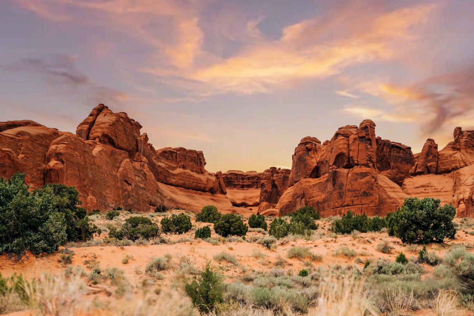 Campsites in Moab, Utah.